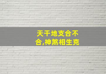 天干地支合不合,神煞相生克