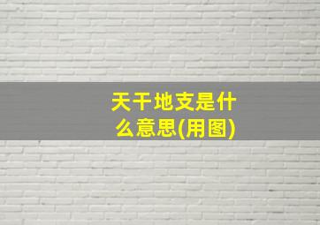 天干地支是什么意思(用图)