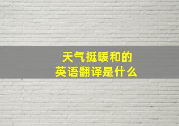 天气挺暖和的英语翻译是什么