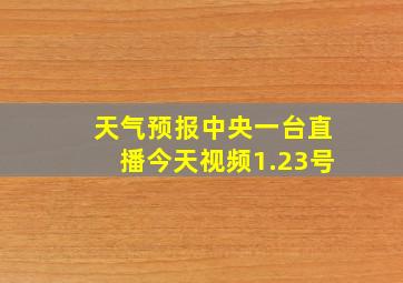 天气预报中央一台直播今天视频1.23号