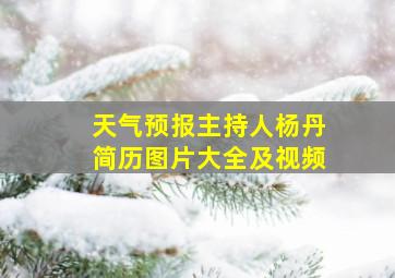 天气预报主持人杨丹简历图片大全及视频