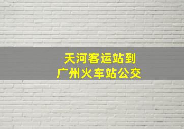 天河客运站到广州火车站公交