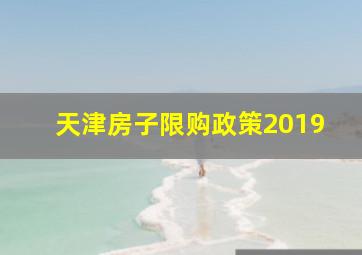 天津房子限购政策2019