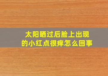 太阳晒过后脸上出现的小红点很痒怎么回事