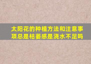 太阳花的种植方法和注意事项总是枯萎感是浇水不足吗