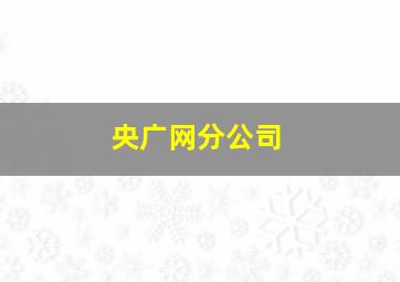 央广网分公司