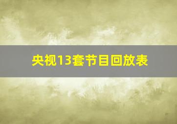 央视13套节目回放表