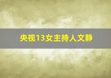 央视13女主持人文静