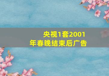 央视1套2001年春晚结束后广告