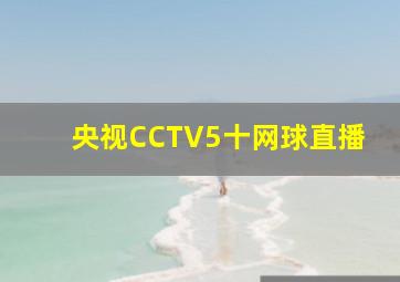 央视CCTV5十网球直播