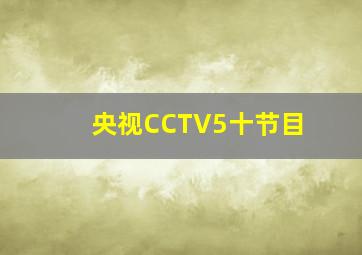 央视CCTV5十节目