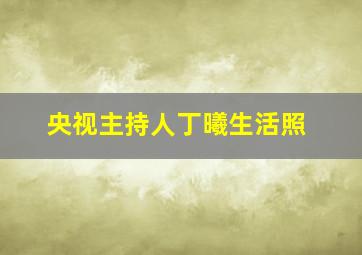 央视主持人丁曦生活照