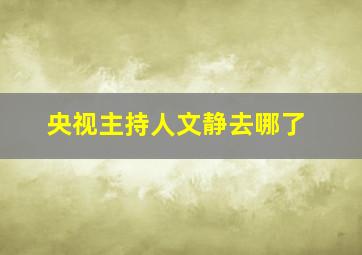 央视主持人文静去哪了