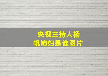 央视主持人杨帆媳妇是谁图片