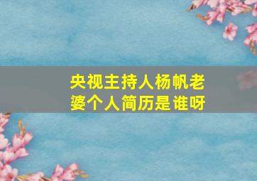 央视主持人杨帆老婆个人简历是谁呀