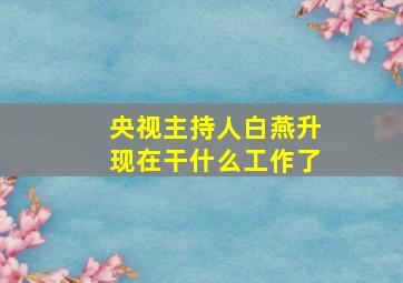 央视主持人白燕升现在干什么工作了