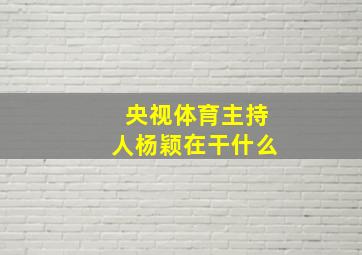 央视体育主持人杨颖在干什么