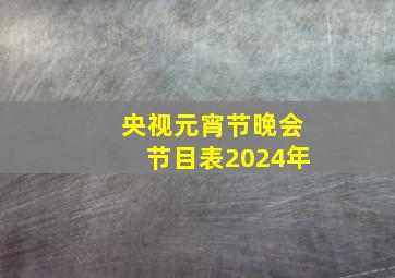 央视元宵节晚会节目表2024年