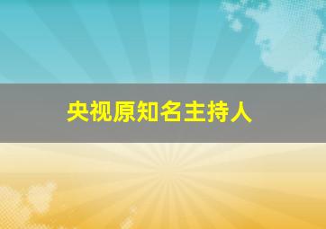 央视原知名主持人