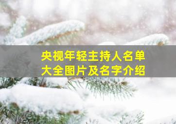 央视年轻主持人名单大全图片及名字介绍