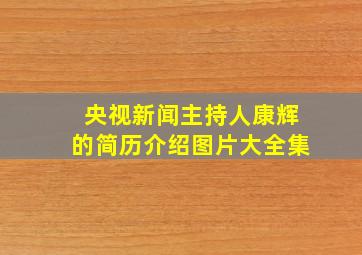 央视新闻主持人康辉的简历介绍图片大全集