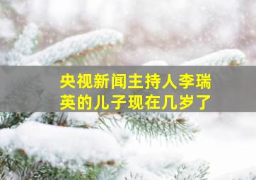 央视新闻主持人李瑞英的儿子现在几岁了