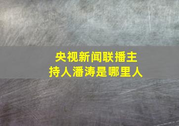 央视新闻联播主持人潘涛是哪里人