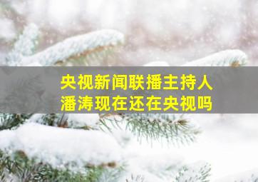 央视新闻联播主持人潘涛现在还在央视吗