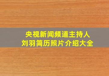 央视新闻频道主持人刘羽简历照片介绍大全