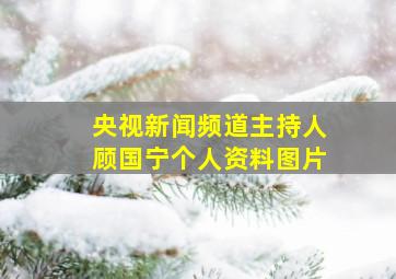 央视新闻频道主持人顾国宁个人资料图片