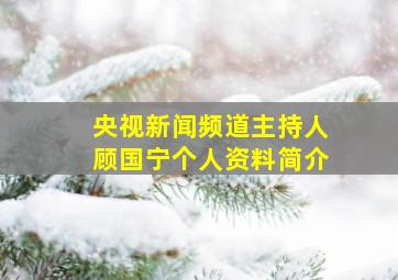 央视新闻频道主持人顾国宁个人资料简介