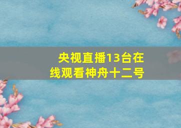 央视直播13台在线观看神舟十二号