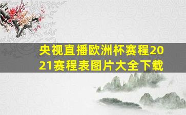 央视直播欧洲杯赛程2021赛程表图片大全下载