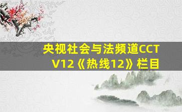 央视社会与法频道CCTV12《热线12》栏目