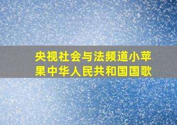 央视社会与法频道小苹果中华人民共和国国歌