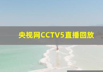 央视网CCTV5直播回放