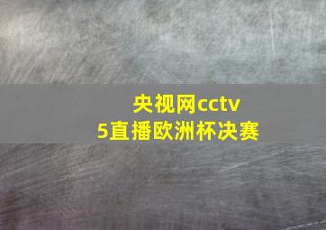 央视网cctv5直播欧洲杯决赛