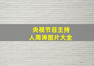 央视节目主持人周涛图片大全