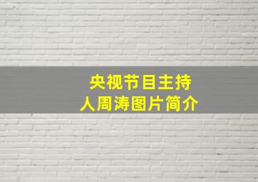 央视节目主持人周涛图片简介