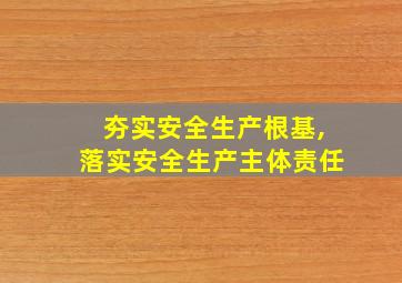 夯实安全生产根基,落实安全生产主体责任