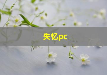 失忆pc