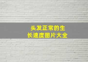 头发正常的生长速度图片大全