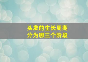 头发的生长周期分为哪三个阶段