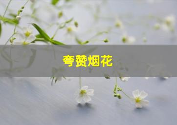 夸赞烟花