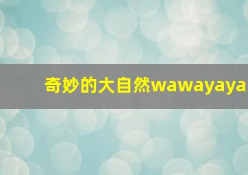 奇妙的大自然wawayaya