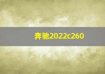 奔驰2022c260