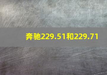 奔驰229.51和229.71