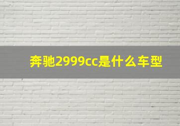 奔驰2999cc是什么车型