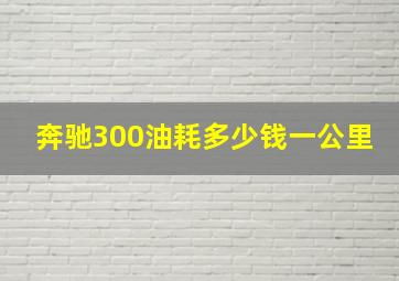 奔驰300油耗多少钱一公里