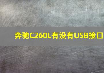 奔驰C260L有没有USB接口